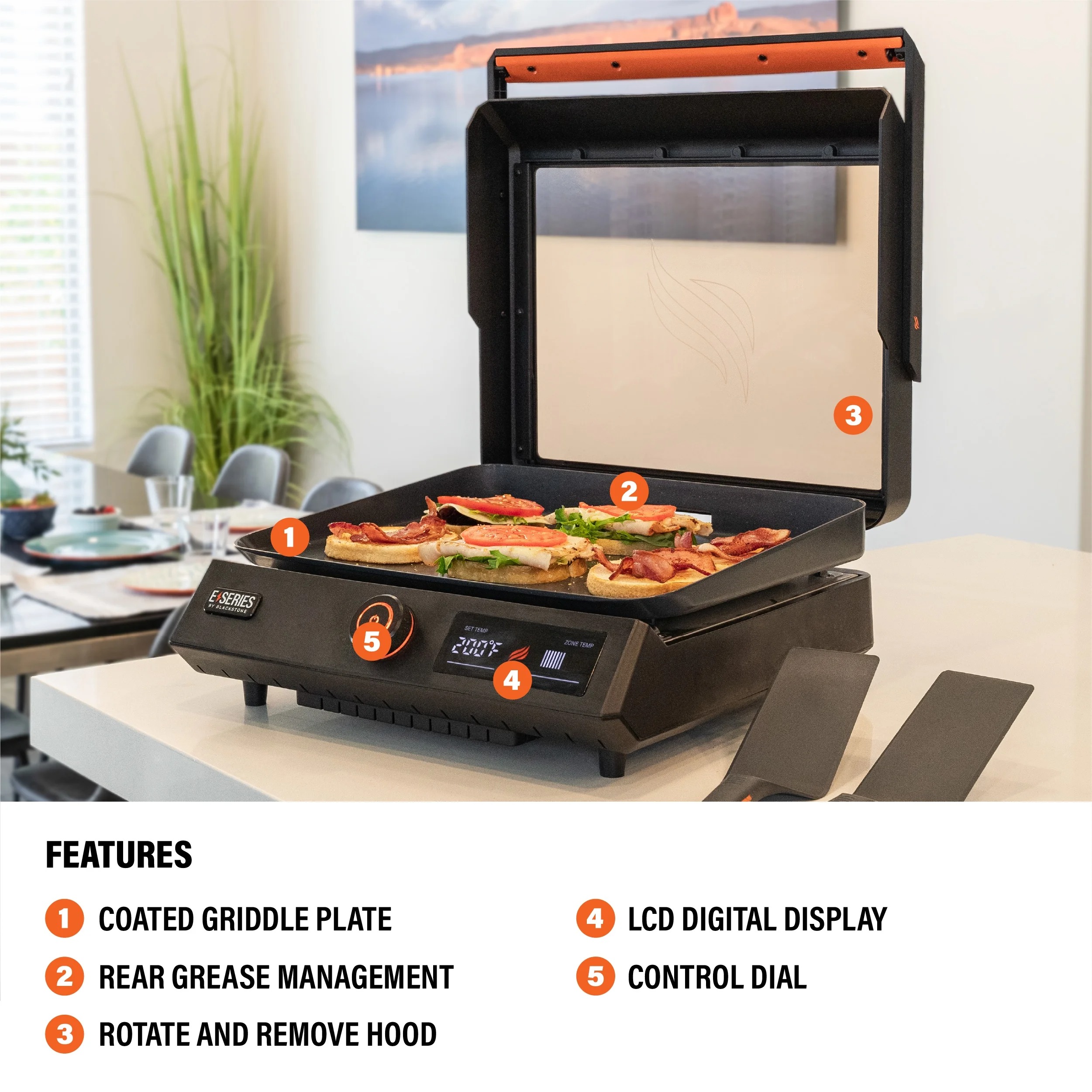 Mastering the Electric Griddle: Your Ultimate Guide to Blackstone’s E-Series